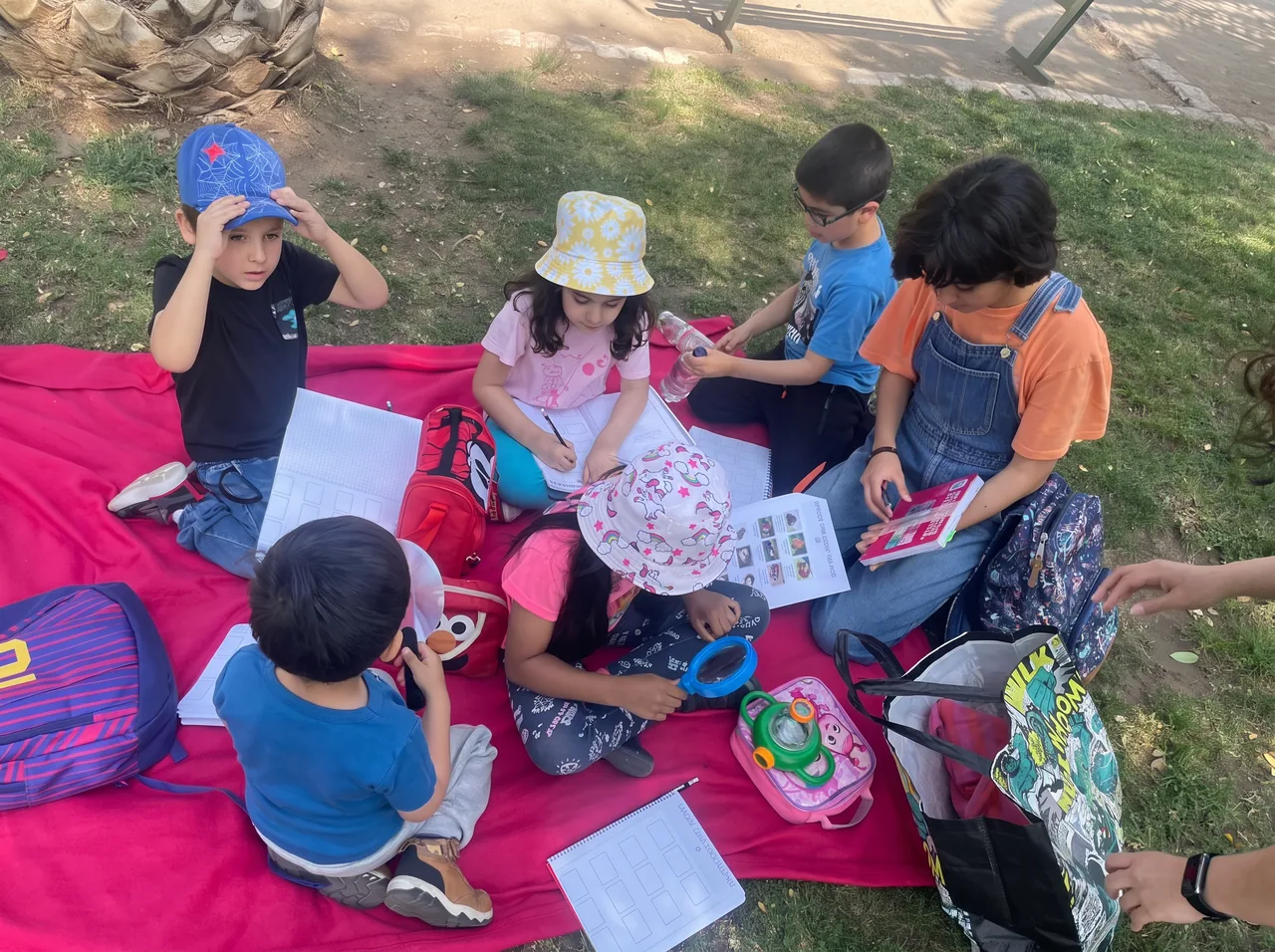 Trabajo de lectura y comprensión al aire libre