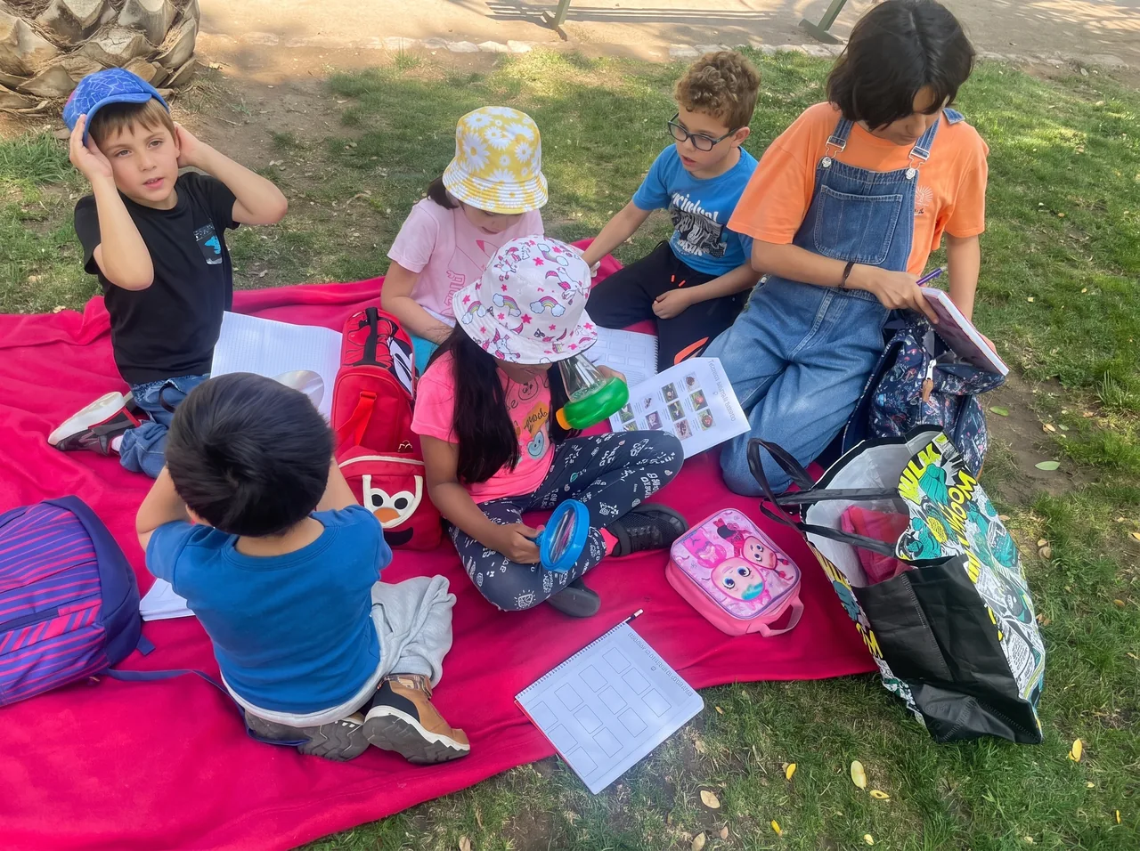Terapia grupal al aire libre en formato picnic